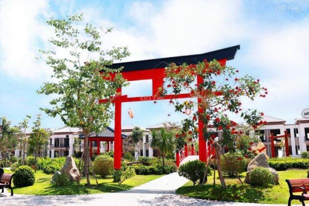 Phúc An Ashita - tọa độ vàng - ngàn giá trị 14465411