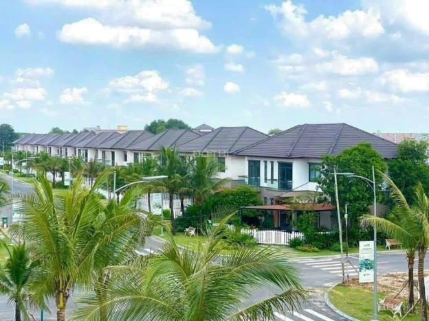 Phúc An Ashita - tọa độ vàng - ngàn giá trị 14465411