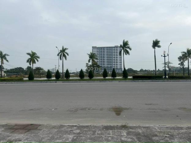 Bán cắt lỗ lô đất mặt bằng 1855, phường Quảng Thành, TP Thanh Hoá 14366495