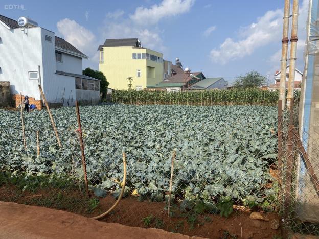 Chính chủ cần bán gấp lô đất 660m2 tại trung tâm xã Xuân Thọ TP Đà Lạt giá 9tỷ 14465721