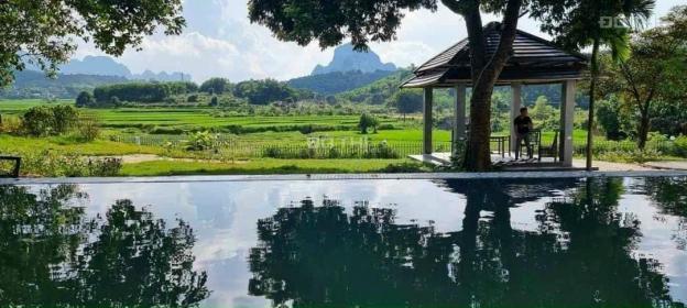 Bán 3634m tại Lương Sơn, Hòa Bình, sẵn bể bơi vô cực, biệt thự,khu nướng ngoài trời,nhỉnh 3 triệu/m 14468985