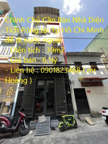 Bán nhà riêng tại Đường Khuông Việt, Phường Phú Trung, Tân Phú, Hồ Chí Minh diện tích 39m2 14469165