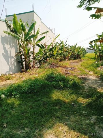 Chính chủ bán lô đất mặt tiền đường 8.75m tại thôn Quyết Thắng, xã Quảng Thịnh TP Thanh Hóa 14473878