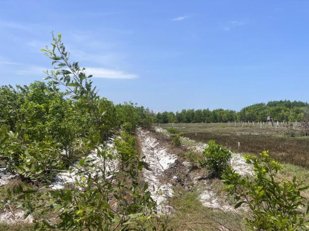 Cần bán 16x59m Thôn Bình An 2 - xã Tân Bình - Thị xã La Gi gần biển 14474041