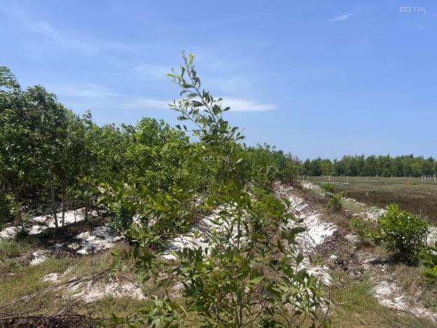 Cần bán 16x59m Thôn Bình An 2 - xã Tân Bình - Thị xã La Gi gần biển 14474041