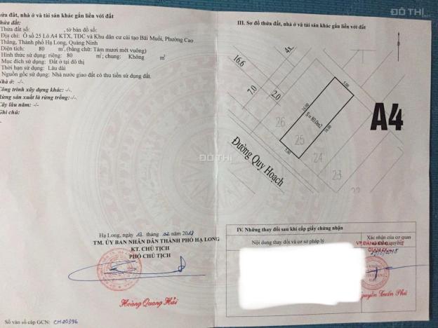 Bán đất tái định cư bãi muối phường Cao Thắng 14484878