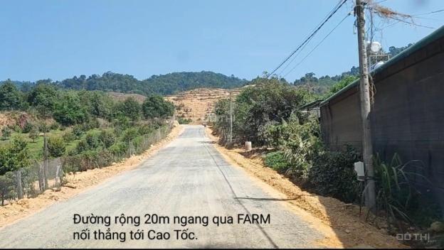 Chủ bán RẺ FARM nghỉ dưỡng ĐẸP 12.000 m2, H. Đạ Huoai, Lâm Đồng. Cách TP. HCM nhỉnh 100km, giá HỜI 14485921