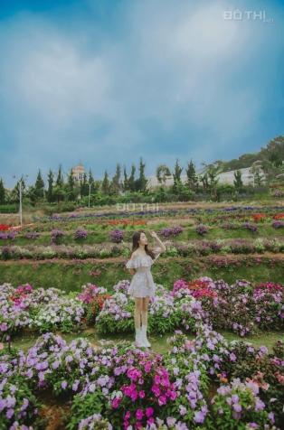 Bán gấp giá tốt khu xây dựng giá tốt đang làm du lịch P11 14486933