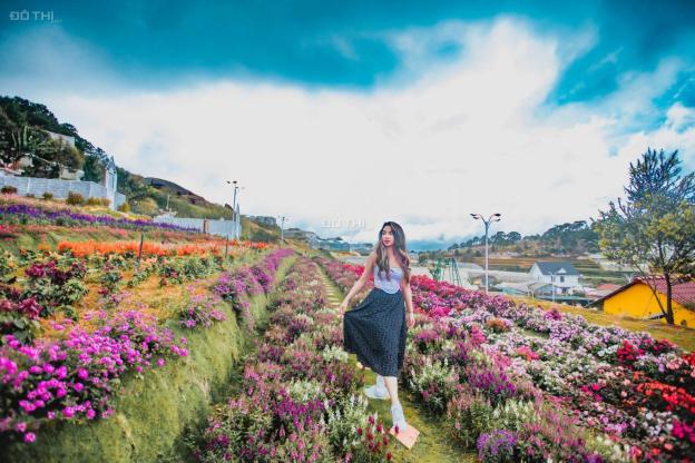 Bán gấp giá tốt khu xây dựng giá tốt đang làm du lịch P11 14486933