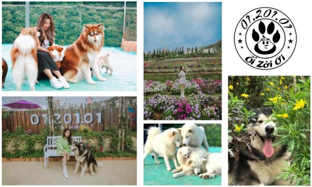 Bán gấp giá tốt khu xây dựng giá tốt đang làm du lịch P11 14486933