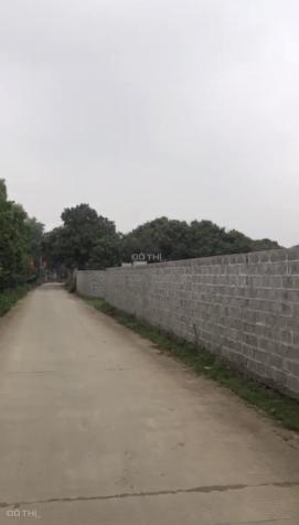 Chuyển nhượng nhanh lô đất 1399m2 liền kề sân golf Skylake, Lương Sơn, Hòa Bình 14488691