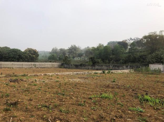 Chuyển nhượng nhanh lô đất 1399m2 liền kề sân golf Skylake, Lương Sơn, Hòa Bình 14488691