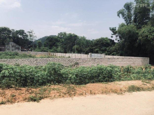 Tôi muốn bán 3800 m2 có 200m đất thổ cư và 3600m đất vườn tại thôn Tam Sơn, Xã Xuân Sơn, Sơn Tây, H 14493836