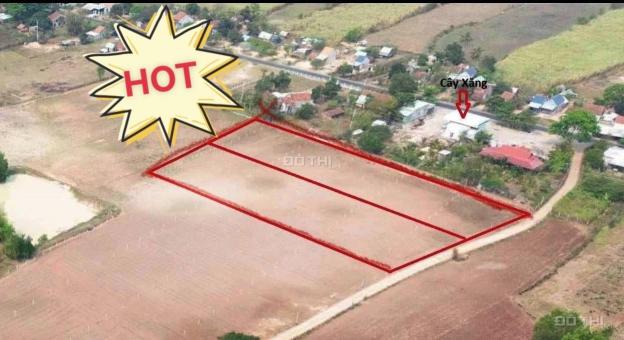 GIÁ NIÊM YẾT 290 TRIỆU TẶNG NGAY 2 CHỈ VÀNG 14494170