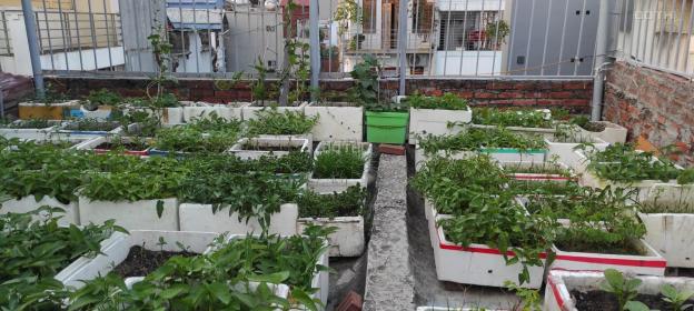 Bán nhà Ngọc Trục,Đại Mỗ, Nam Từ Liêm 14496479