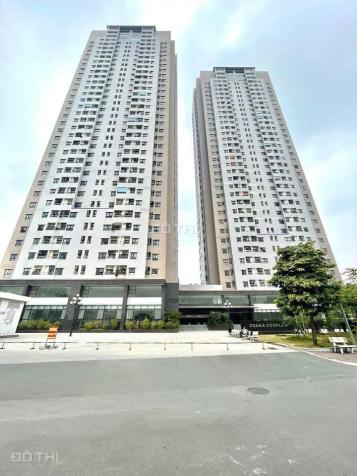 Bán chung cư Osaka Complex chính chủ, sổ hồng lâu dài, mới 100% MTG 14499596