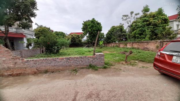Chính chủ bán đất giá rẻ tại Thôn Đông, Đại Đồng, Danh Thắng, Hiệp Hoà, Bắc Giang 14499814