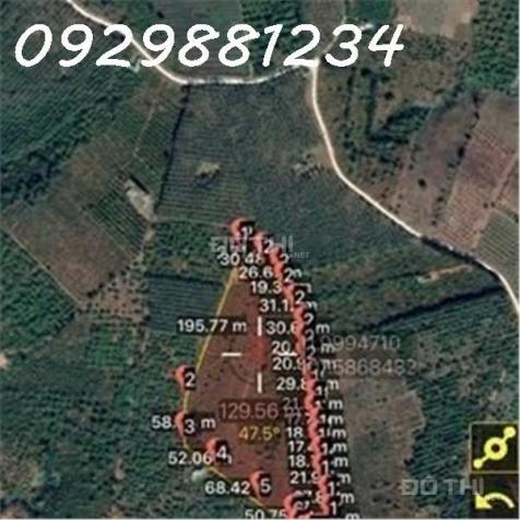 Cần bán 4ha đất rẫy + nhà tại Đaknông 14502878