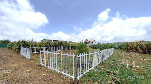 Đất Phường Lộc Tiến, Bảo Lộc. Giá đầu tư chỉ 9.9 triệu / m². Chốt nhanh trong tháng 9 14506465