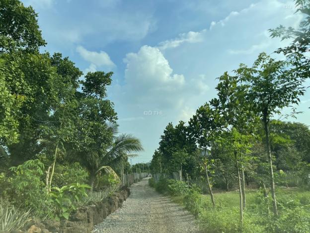 Bán 4.5 sào đất Phú Thịnh, Huyện Tân Phú GIÁ MỀM đường xe hơi 14514868