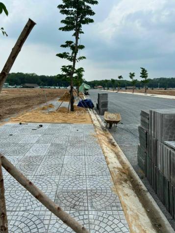 Đất nền ngay kcn VSIP II, chỉ 480tr, mua xây dựng tự do 14516192