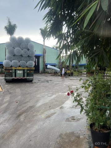 GẤP! Bán Nhà xưởng 1.2 hecta đang cho thuê 300 triệu/tháng tại xã Long Phước, Long Thành giá 54 tỷ 14522055