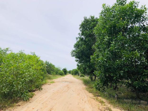 Bán 1 sào đất Đường Số 1 - Tân Bình - TX LaGi Gần Biển GIÁ NGỢP 1.5tr/m2 14523919