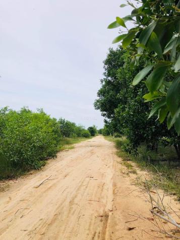 Bán 1 sào đất Đường Số 1 - Tân Bình - TX LaGi Gần Biển GIÁ NGỢP 1.5tr/m2 14523919