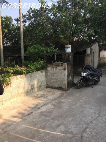 Ngân hàng phát mại nhà đất Dân Lý, huyện Triệu Sơn, tỉnh Thanh Hóa, 474m2, MT 18m, 504tr 14525332