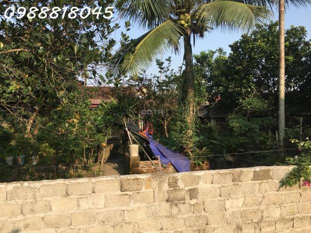 Ngân hàng phát mại nhà đất Dân Lý, huyện Triệu Sơn, tỉnh Thanh Hóa, 474m2, MT 18m, 504tr 14525332