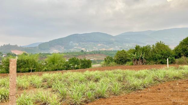 CÁCH NHỰA 800M, CẦN BÁN LÔ ĐẤT ĐÔNG THANH SẴN 100M2 THỔ CƯ, CHỈ 1.1 TỶ 14531386