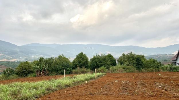 CÁCH NHỰA 800M, CẦN BÁN LÔ ĐẤT ĐÔNG THANH SẴN 100M2 THỔ CƯ, CHỈ 1.1 TỶ 14531386