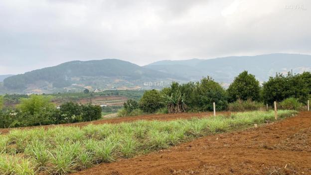 CÁCH NHỰA 800M, CẦN BÁN LÔ ĐẤT ĐÔNG THANH SẴN 100M2 THỔ CƯ, CHỈ 1.1 TỶ 14531386