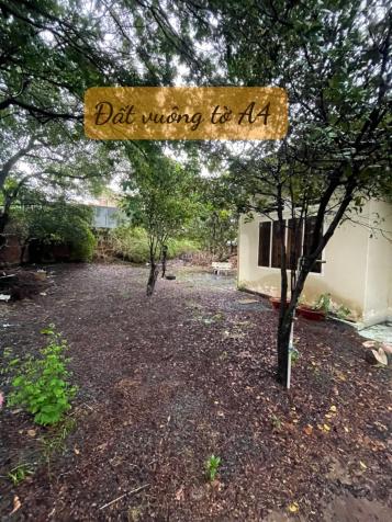 BÁN NHÀ MẶT TIỀN _ đường lê văn việt (595m2) ngang 20m .p.hiệp phú ,quận 9. tp.thủ đức 14532493