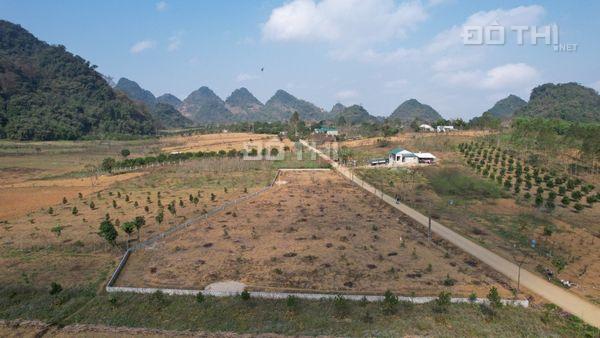 2207,8m2 có 200m2 ONT + đất vườn BHK  1,9 tỷ 14534005