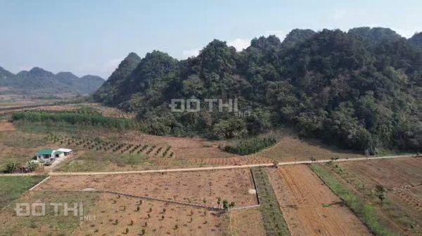 2207,8m2 có 200m2 ONT + đất vườn BHK  1,9 tỷ 14534005