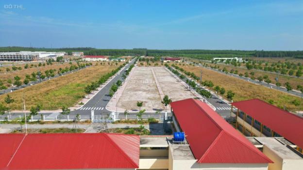 Bán đất nền dự án tại Dự án Nam An New City, Bàu Bàng, Bình Dương diện tích 100m2 giá 1.55 Tỷ 14536505