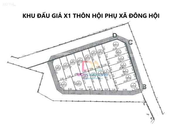 Bán đất đấu giá Đông Hội Đông Anh gần Vinhomes Cổ Loa 14540433