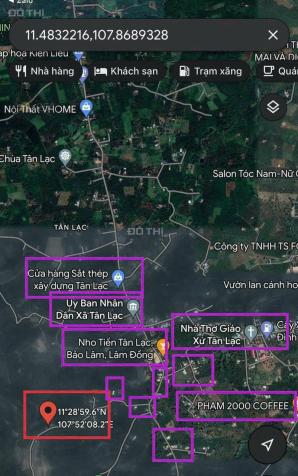 Cần tiền bán đất xã Tân Lạc, Bảo Lâm, Lâm Đồng, vườn cây trái xum xuê, view nhìn núi 14549818
