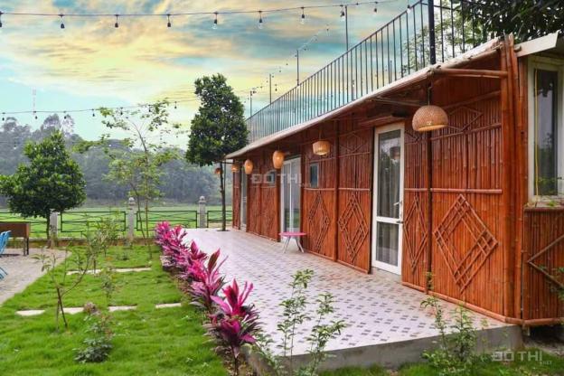 CHUYỂN NHƯỢNG HOMESTAY TẠI BA VÌ, HÀ NỘI 2700M 14554039