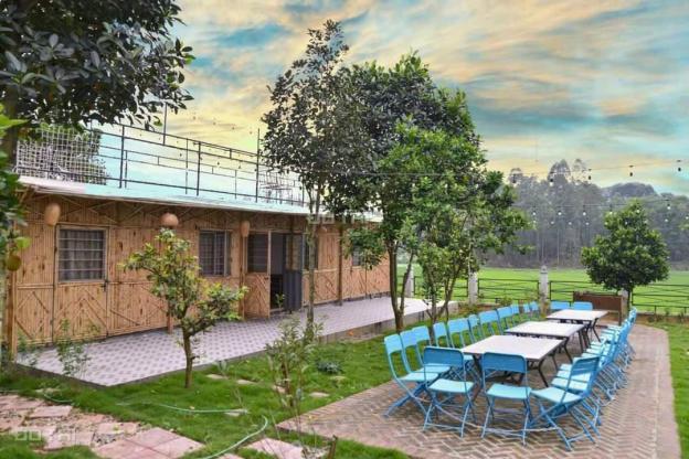 CHUYỂN NHƯỢNG HOMESTAY TẠI BA VÌ, HÀ NỘI 2700M 14554039