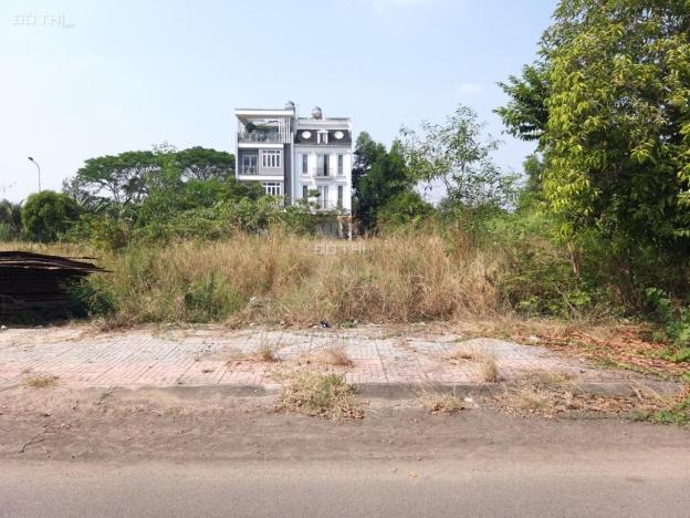 Bán đất tại Bưng Ông tHoàn p. Phú Hữu, Quận 9, Hồ Chí Minh diện tích 176m2 giá 11,8 tỷ 14366894