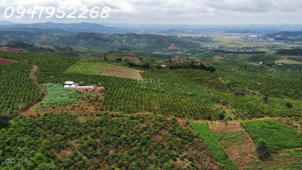 Chính chủ cần bán lô đất hiếm view đẹp tại xã Đạ Đờn, Lâm Hà, Lâm Đồng thích hợp làm nghỉ dưỡng. 14557998
