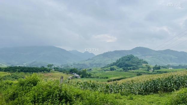 Chính chủ cắt lỗ 2825m2 đất thổ cư giá chỉ 1tỷ250tr tại Cao Phong, Hòa Bình 14559388