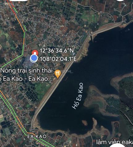 Bán đất tại Xã Ea Kao, Buôn Ma Thuột, Đắk Lắk diện tích 800m2 14561895