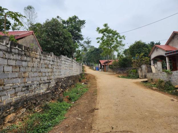 Bán gấp 1486m2 đất xã Cẩm Yên, huyện Cẩm Thủy. Miễn TG 14562637