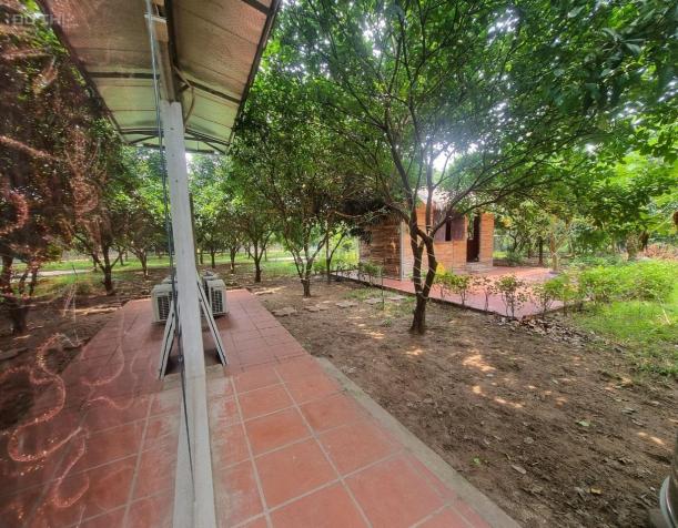 Cho thuê nhà Vườn An dương 3300m2 đẹp đúng như ảnh ở làm homestay 14564447