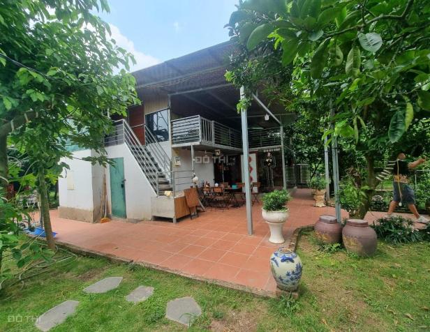 Cho thuê nhà Vườn An dương 3300m2 đẹp đúng như ảnh ở làm homestay 14564447