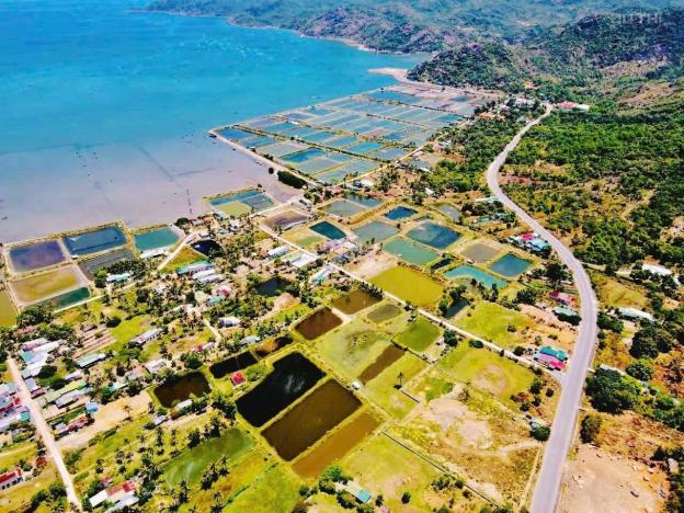 Đất Mặt tiền Hiệp Kết và sau lưng là MẶT Biển Vịnh Cam Ranh- Đất Full thổ cư 14564647