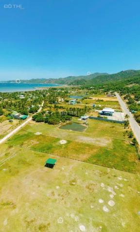Đất Mặt tiền Hiệp Kết và sau lưng là MẶT Biển Vịnh Cam Ranh- Đất Full thổ cư 14564647